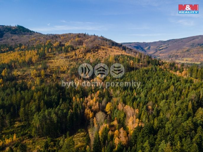 Prodej, Pastvina, Milíkov