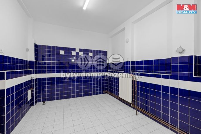 Pronájem, Obchodní objekt, Kladno