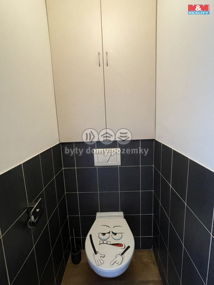 Pronájem, Byt 2+kk, Louny