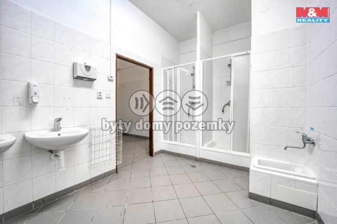 Prodej, Výrobní objekt, Potvorov