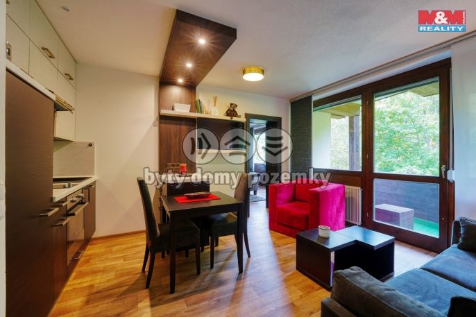 Pronájem, Byt 2+kk, Železná Ruda