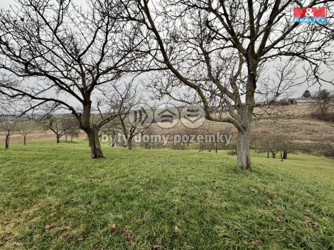 Prodej, Zahrada, Bezuchov