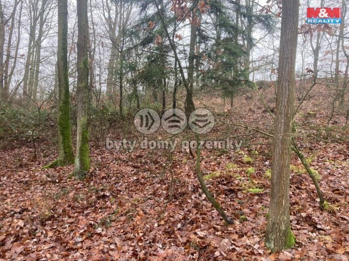 Prodej, Les, Krašlovice