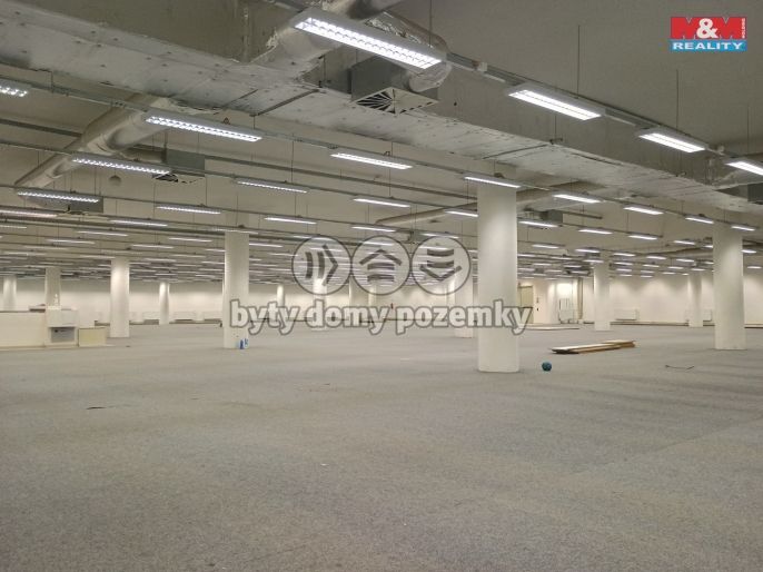 Pronájem, Obchod a služby, Děčín