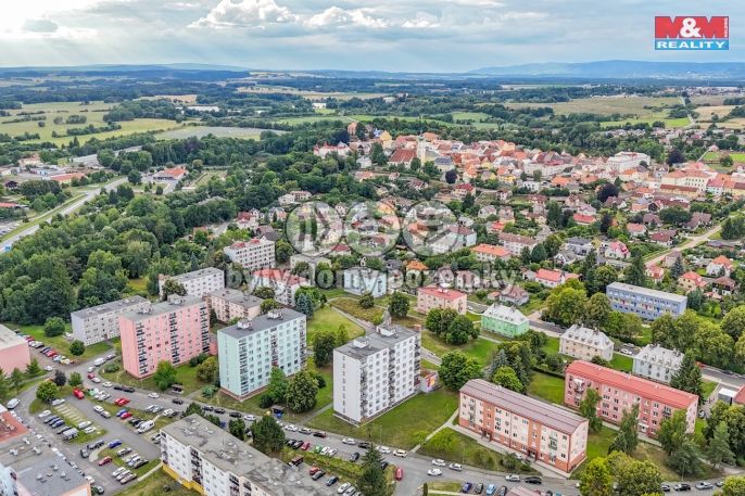 Prodej, Byt 3+1, Planá