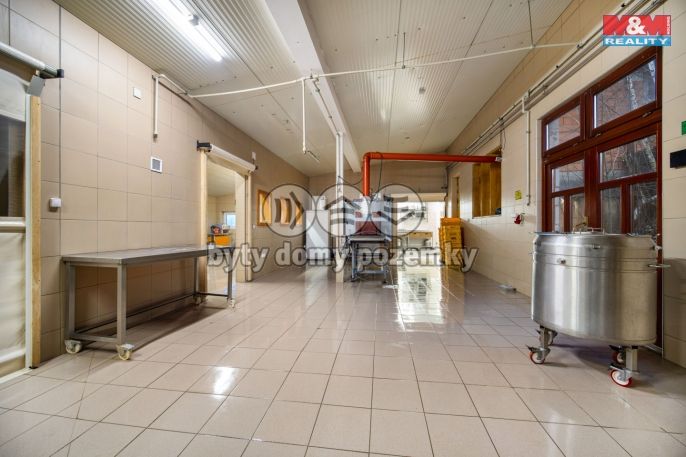 Prodej, Hotel, penzion, Liberk