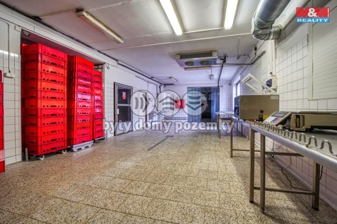 Prodej, Výrobní objekt, Potvorov