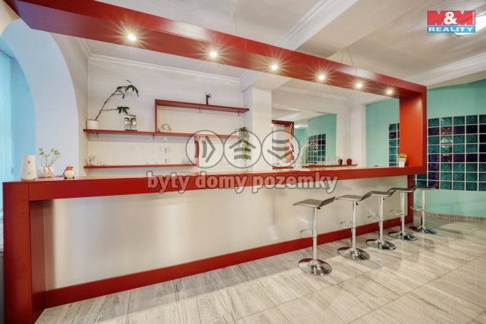 Pronájem, Obchod a služby, Plzeň