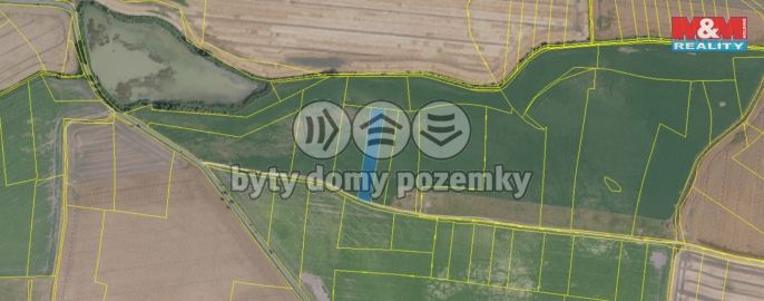 Prodej, Pole, Kosořice