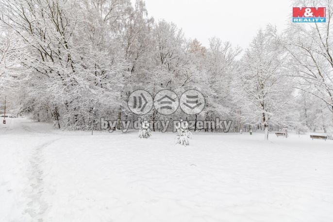 Prodej, Byt 3+1, Havířov