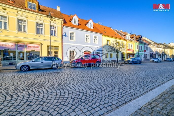 Pronájem, Obchod a služby, Planá