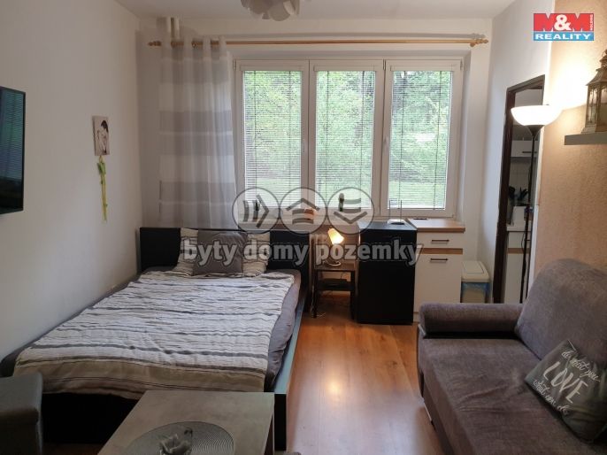 Pronájem, Byt 1+kk, Třinec