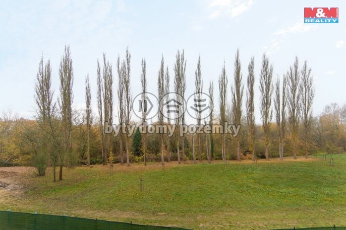 Pronájem, Byt 2+kk, Plzeň