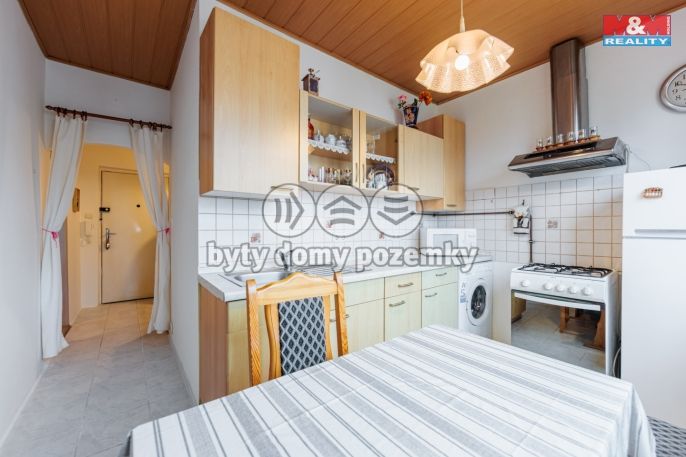 Pronájem, Byt 2+1, Bochov