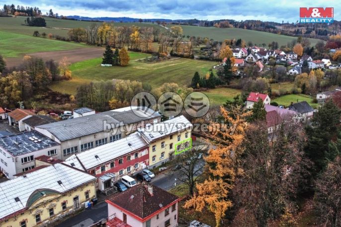 Prodej, Byt 3+1, Úsobí