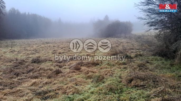 Prodej, Louka, Oselce