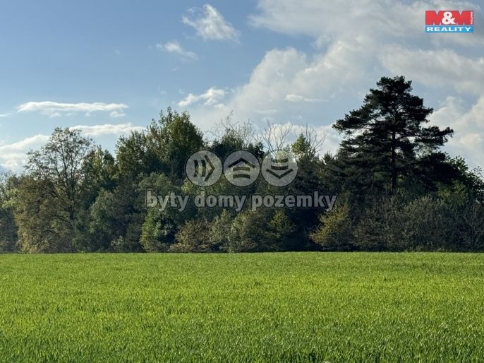 Prodej, Komerční pozemky, Homole