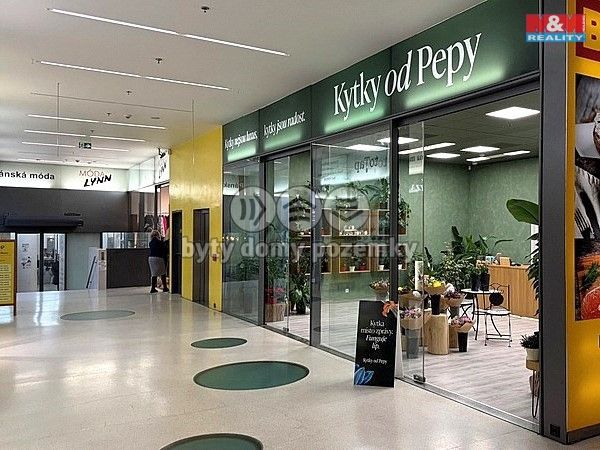 Pronájem, Obchod a služby, Brno