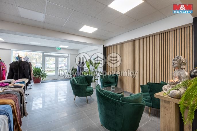 Pronájem, Obchodní objekt, Louny