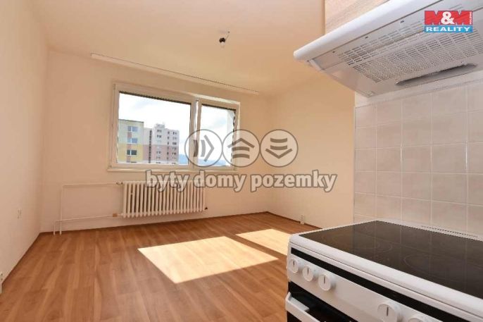 Pronájem, Byt 1+kk, Liberec