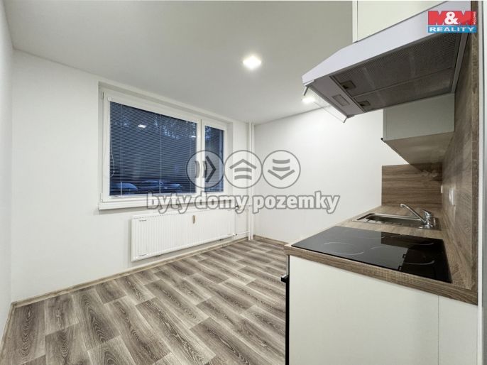 Pronájem, Byt 1+1, Ostrov