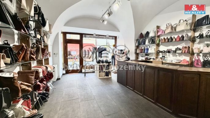 Pronájem, Obchod a služby, Louny