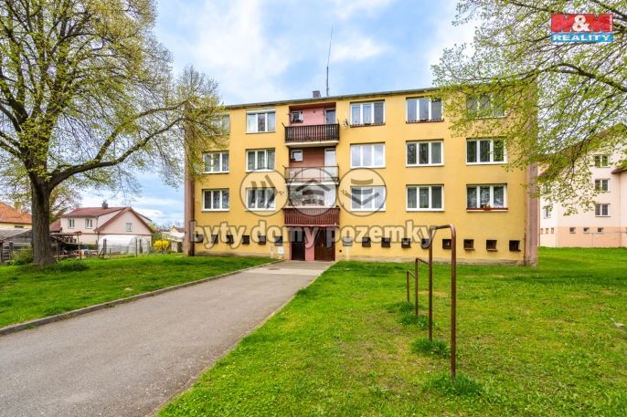 Prodej, Byt 2+1, Strunkovice nad Blanicí