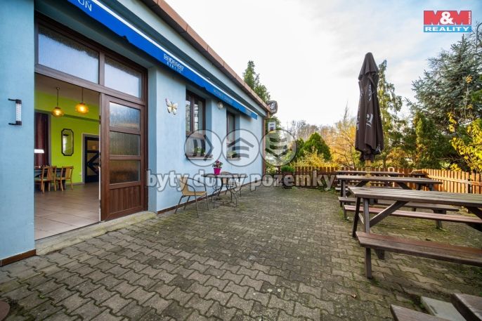 Prodej, Hotel, penzion, Stradouň