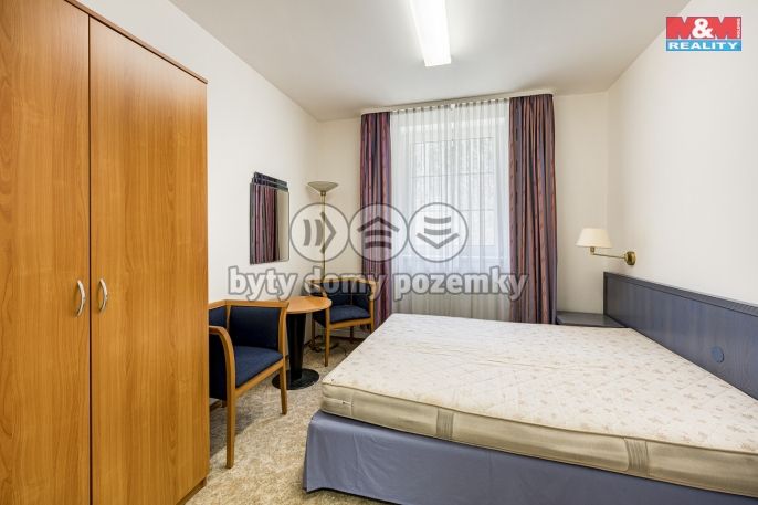 Prodej, Hotel, penzion, Petrovice