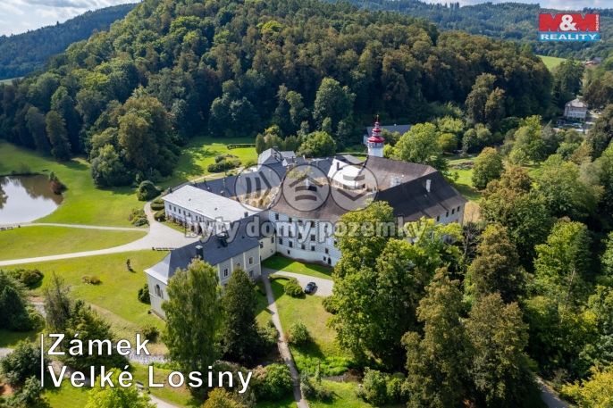 Prodej, Pozemek k bydlení, Velké Losiny