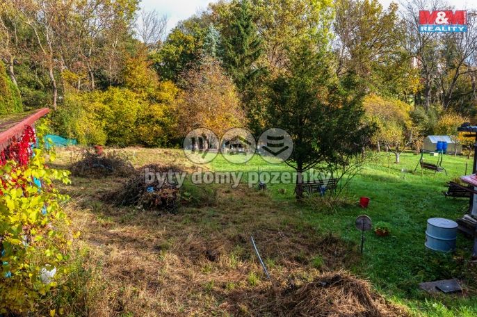 Prodej, Zahrada, Děčín