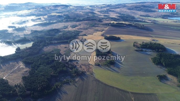 Prodej, Les, Bohdalov