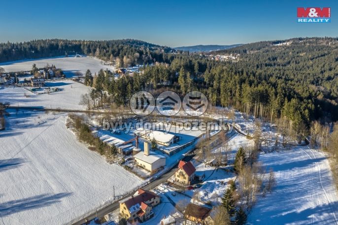 Prodej, Výrobní objekt, Pěnčín