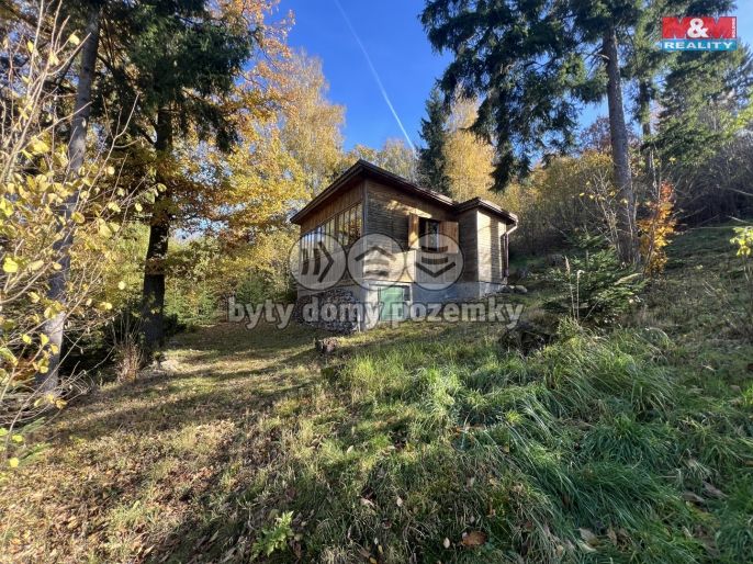 Pronájem, Chata, Střížovice