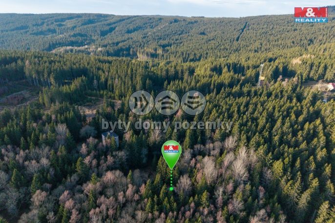 Prodej, Rodinný dům, Jáchymov