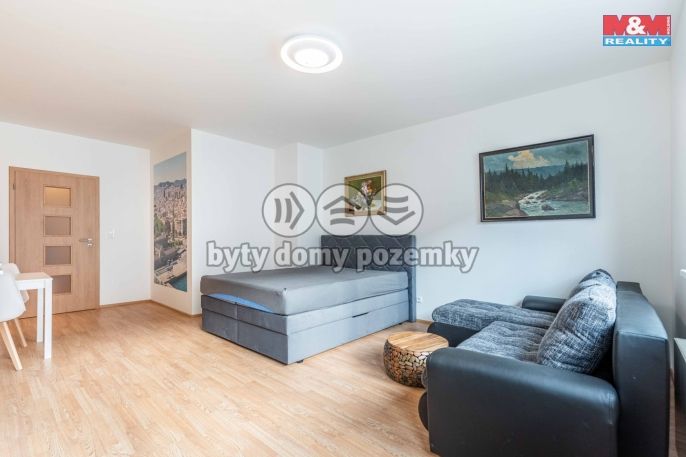 Pronájem, Byt 1+kk, Plzeň