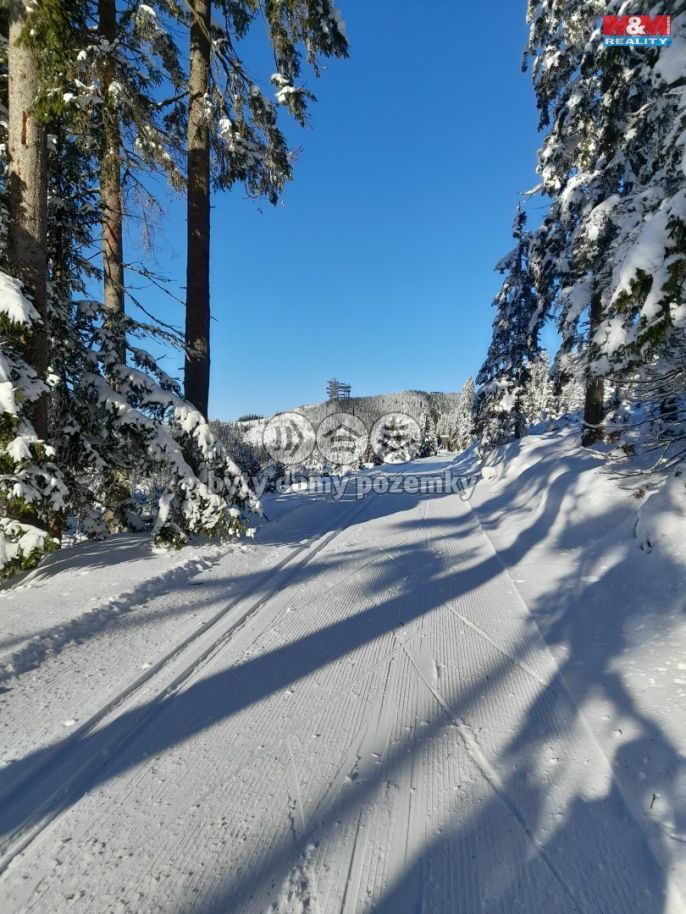 Prodej, Chata, Malá Morava