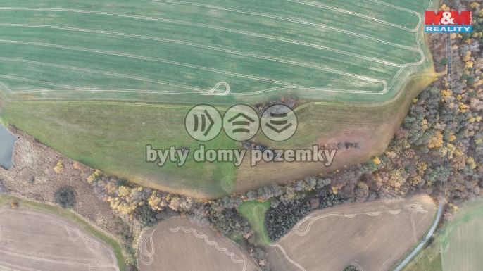 Prodej, Louka, Skuteč