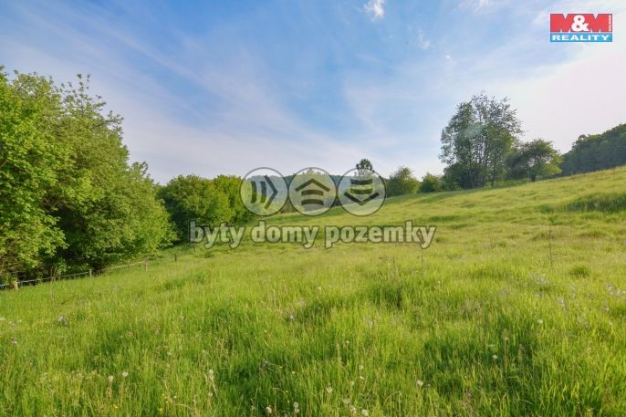 Prodej, Chalupa, Starý Šachov