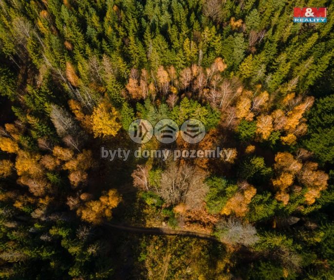 Prodej, Pastvina, Milíkov