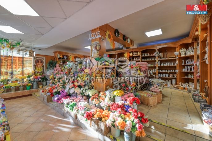 Pronájem, Obchod a služby, Železná Ruda