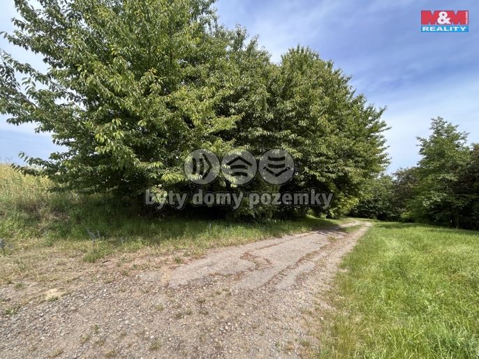 Prodej, Pole, Prostějov