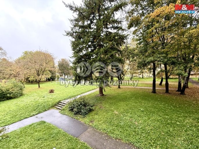 Pronájem, Byt 1+1, Havířov