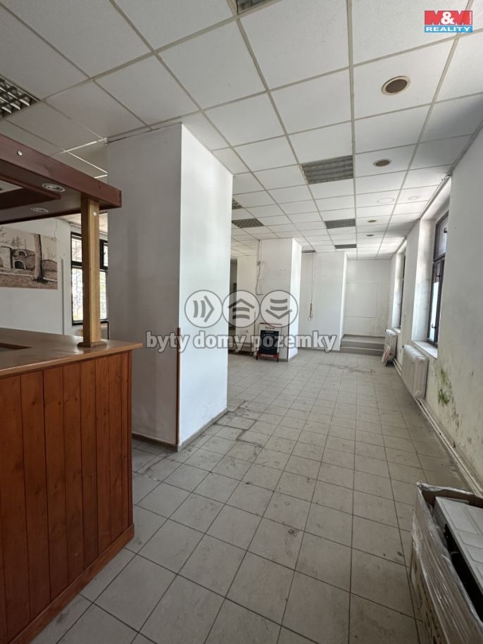 Pronájem, Obchod a služby, Domoušice