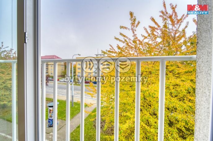 Pronájem, Byt 1+kk, Plzeň