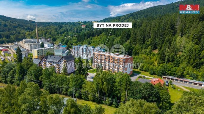Prodej, Byt 1+kk, Jiřetín pod Bukovou