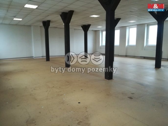 Pronájem, Ostatní, Strančice