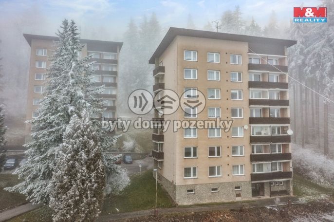 Prodej, Byt 1+1, Janské Lázně