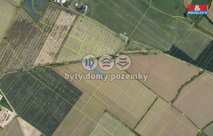 Prodej, Pole, Prostějov