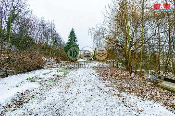 Pronájem, Ostatní, Plzeň